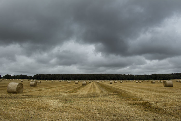 Hay bales on field against sky