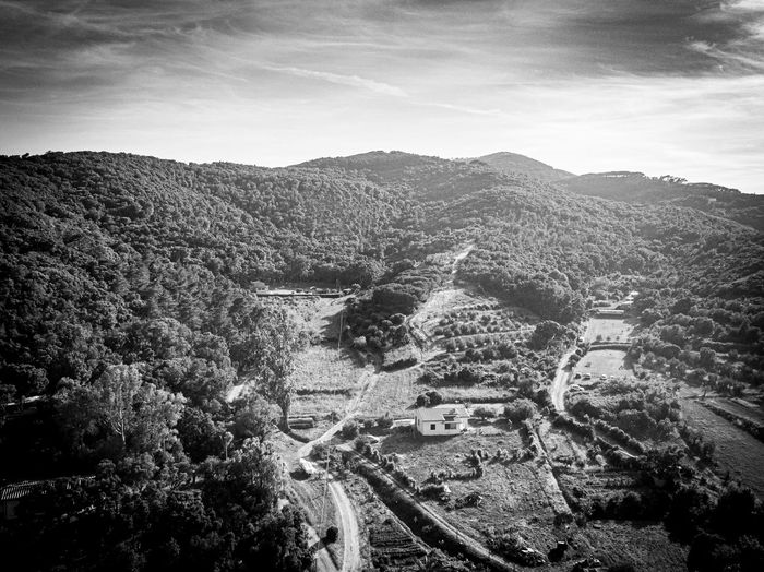 High angle view of trees on landscape against sky