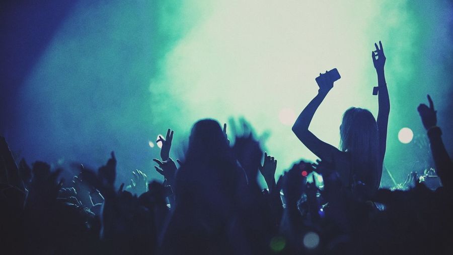 People enjoying music concert