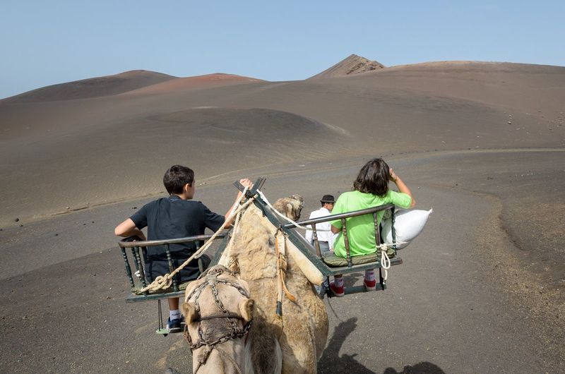 Rear view of boys sitting on camel at desert