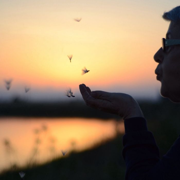 Person blowing feathers against sky during sunset