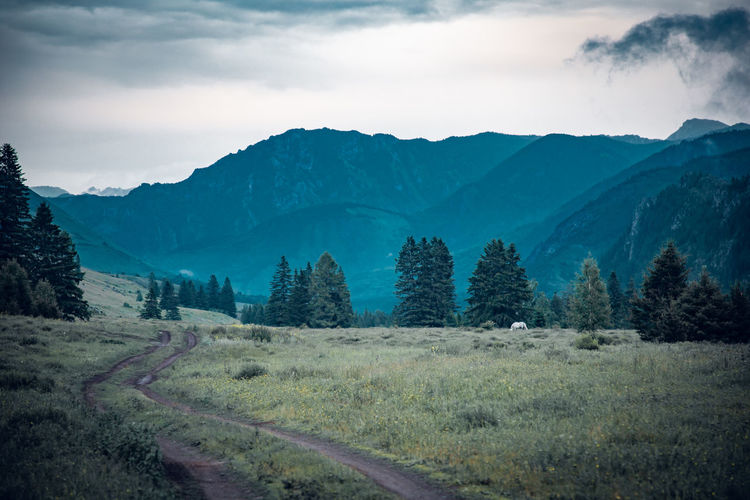 Scenic view of landscape and mountains against sky, altai, russia