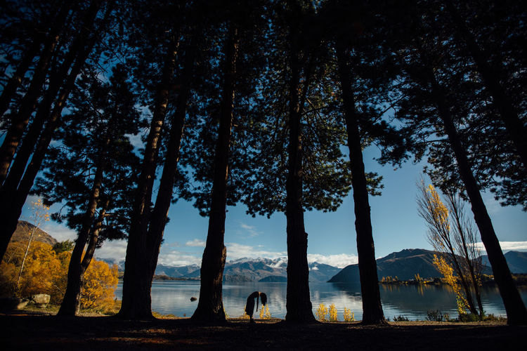 Woman standing between trees by lake against mountains