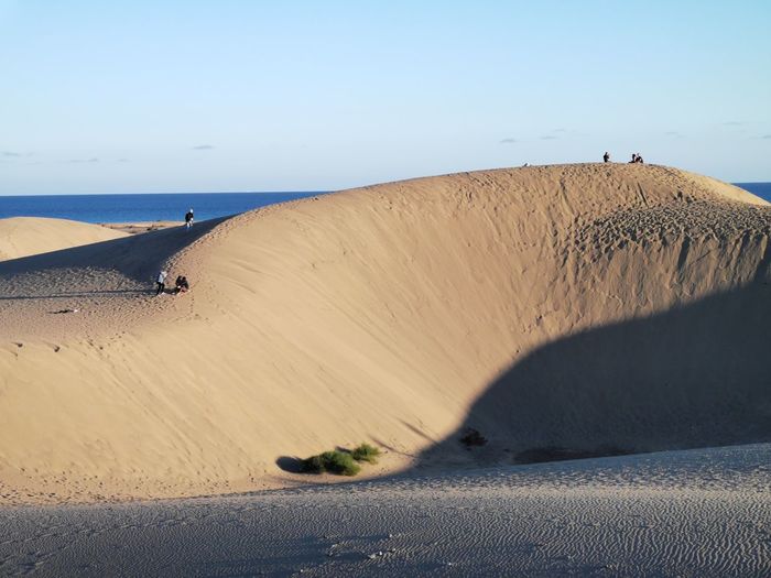 Sand dune on beach against clear sky