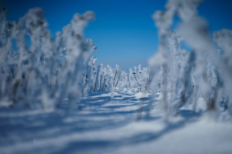 Frozen details 