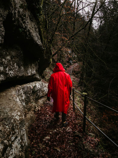 Rear view of man waering red walking in forest