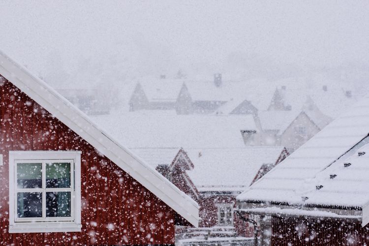 Houses during snowfall
