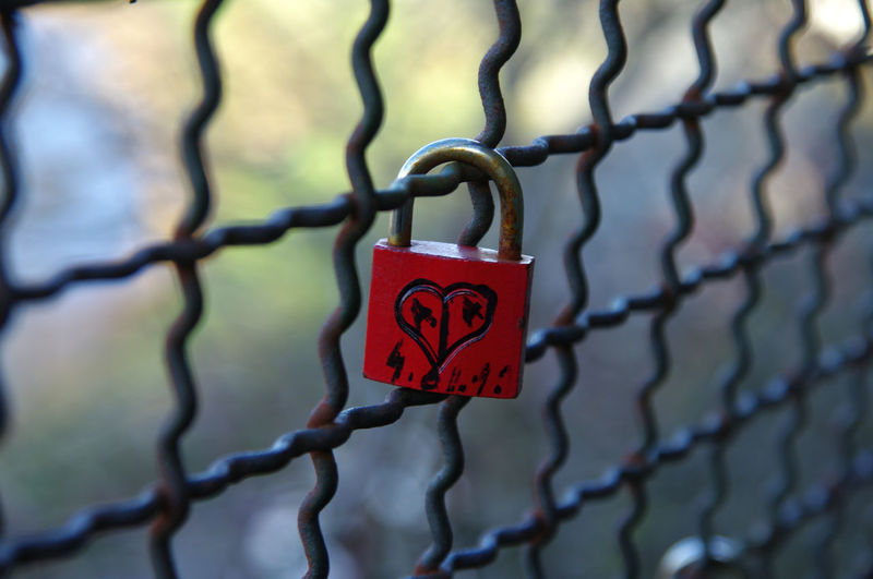 Close-up of love padlocks hanging on metal fence