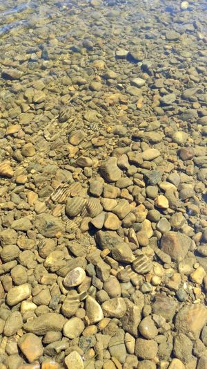 Full frame shot of stones on beach