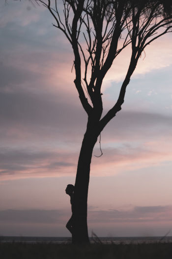 Silhouette tree against sky during sunset