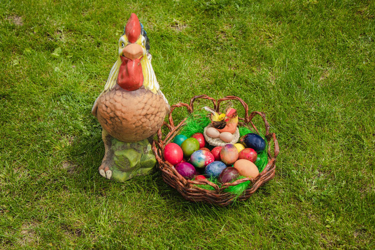 High angle view of eggs in basket on field