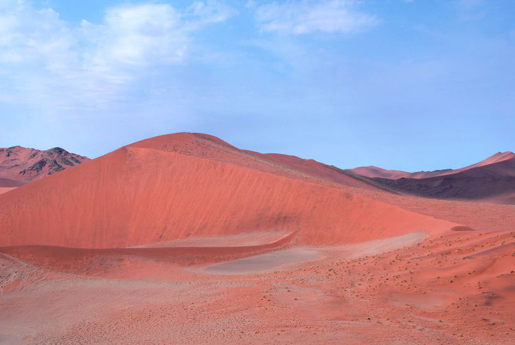 View of a desert