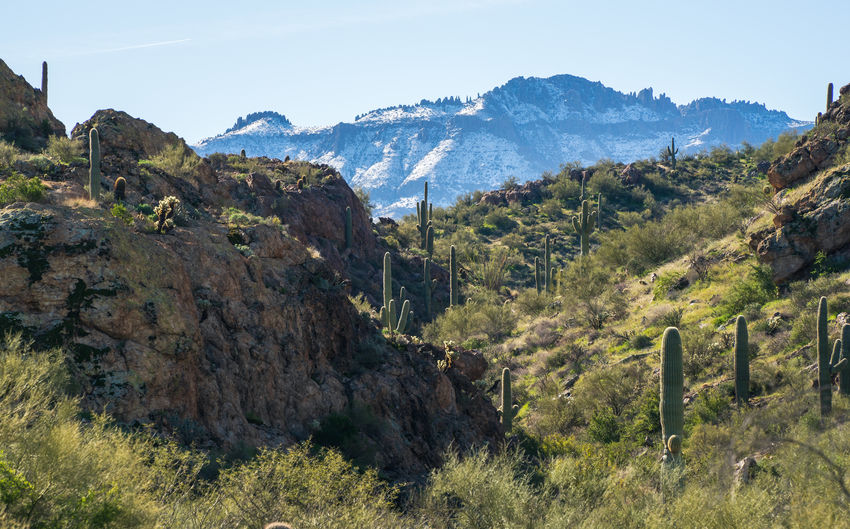 mountain