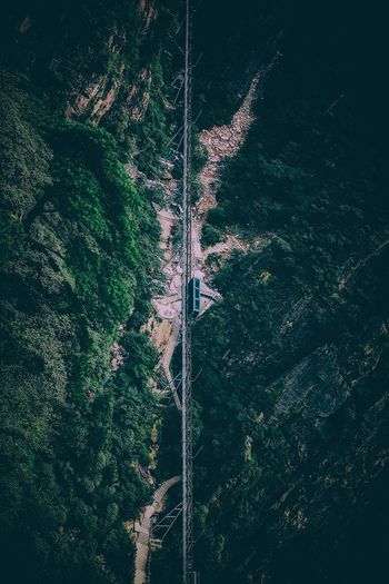 High angle view of railway bridge amidst trees
