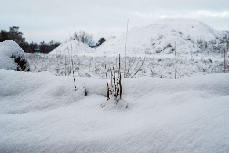 Snow covered field against sky