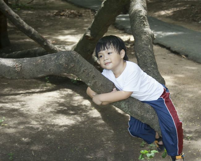 Boy leaning on tree in park