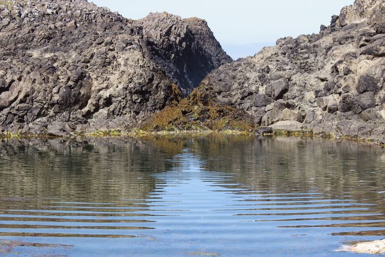 Ballintoy harbour, rock landform 