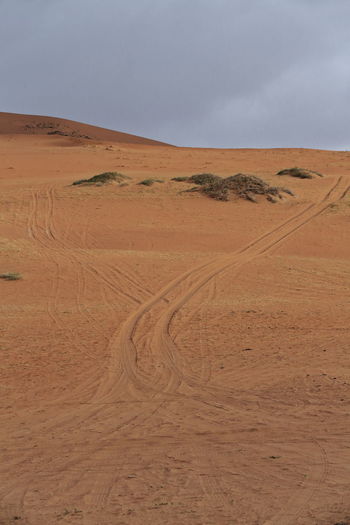 1101 tire tracks-megadune overlooking sumu jaran lake e.shore. badain jaran desert-nei mongol-china.