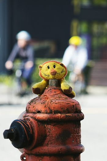 Close-up of stuffed toy on fire hydrant