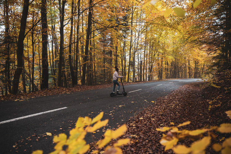 Man riding bicycle on road amidst trees in forest during autumn