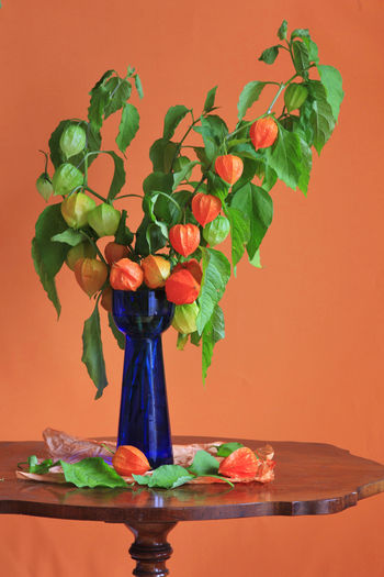 Close-up of vase on table against orange wall