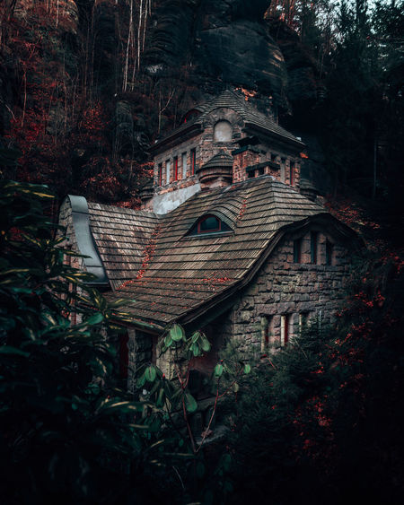 Low angle view of old building in forest