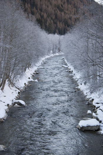 River flowing amidst bare trees in forest during winter
