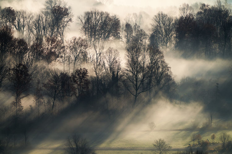 nature