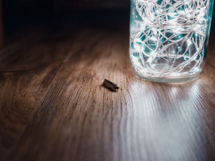 Close-up of insect by illuminated string lights in jar on table