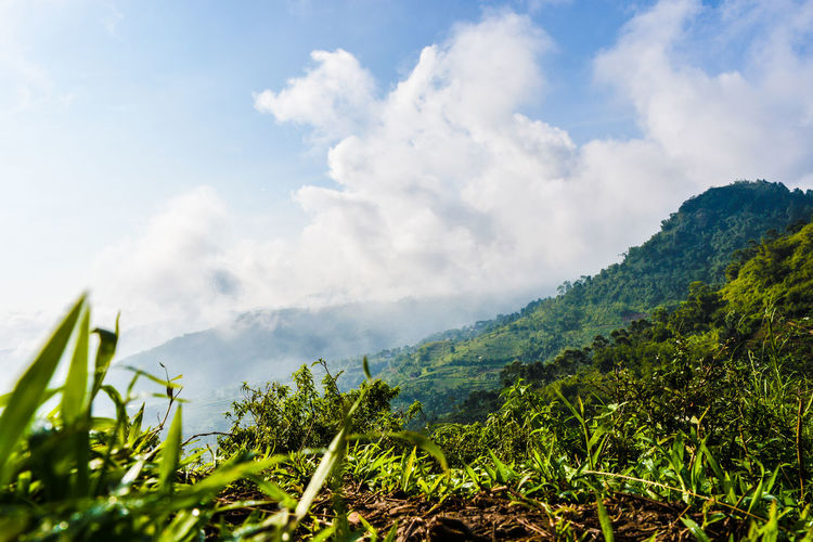 Scenic view of mountains against sky