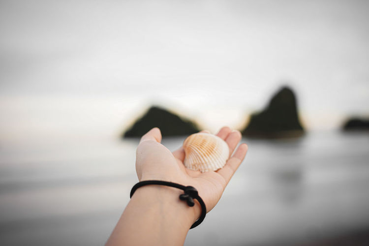 Close-up of hand holding seashell against sky