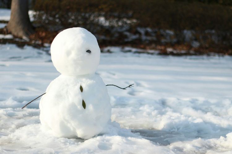 Close-up of snowman on field