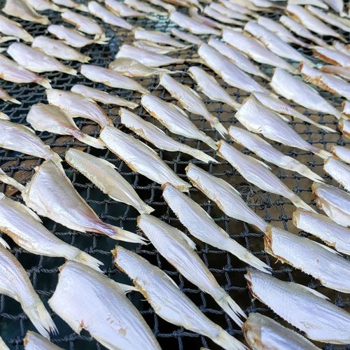 Full frame shot of fish