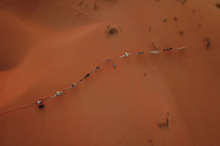 Camel caravane in sand dunes of sahara desert photographed by drone