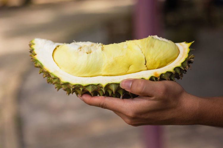 Cropped hand of person holding durian fruit