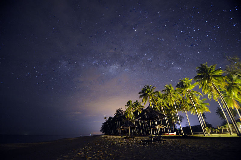 Palm trees on beach against sky at night at kampung penarik terengganu