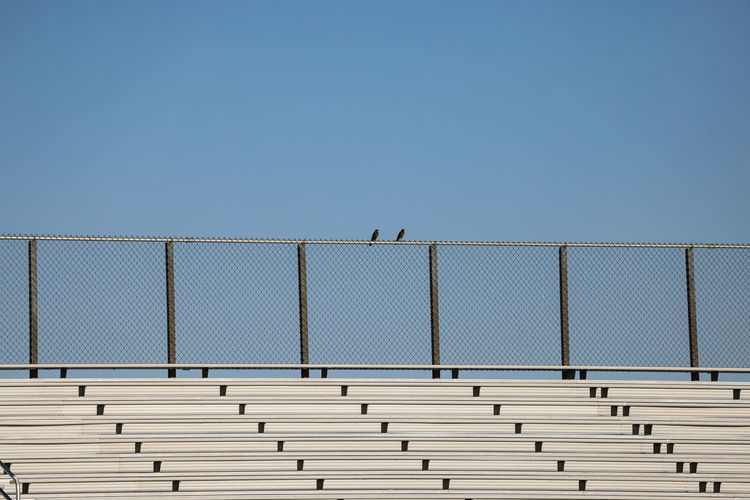 Two spectators