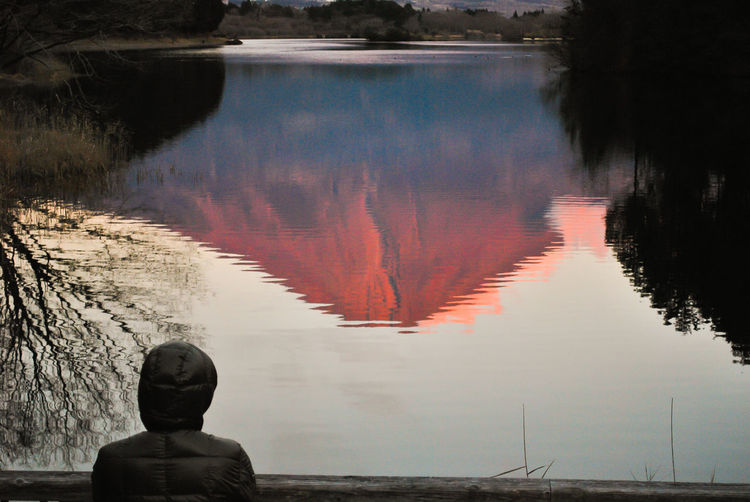 Rear view of man looking at lake