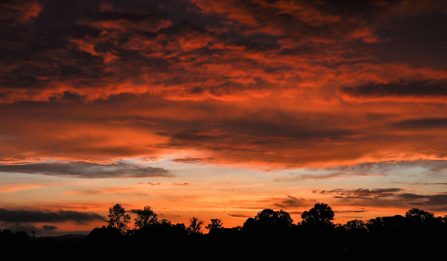 Low angle view of silhouette trees against dramatic sky
