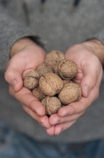 Midsection of person holding walnuts