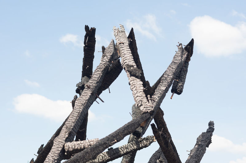 Low angle view of burnt wood against sky
