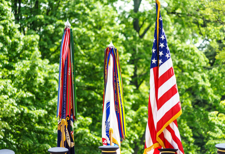 View of flags by trees
