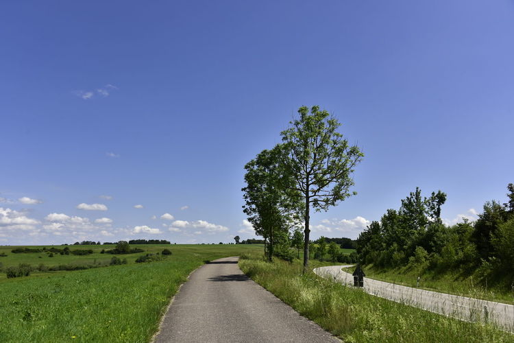 Empty road amidst trees on field against sky