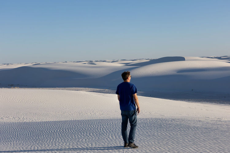 Lone adult male looking off into the dunes at white sands national park