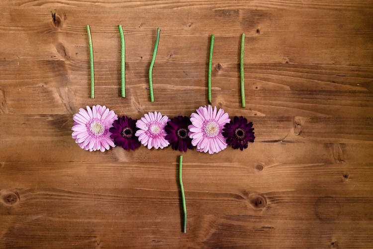 Directly above shot of pink and purple gerbera daisies on table