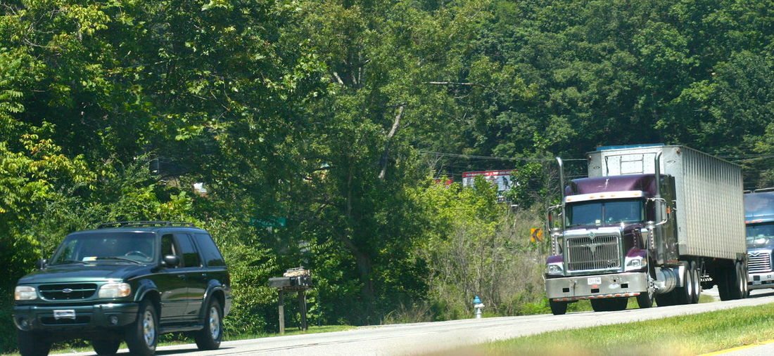 Car on road amidst trees