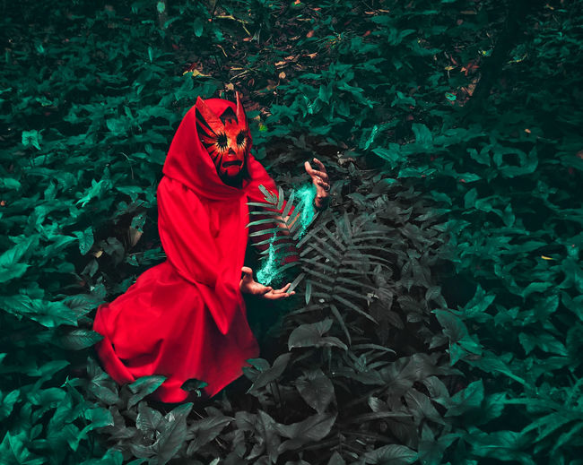 Rear view of person wearing red cape and mask by plants in forest