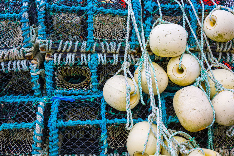 Close-up of buoys hanging from lobster traps