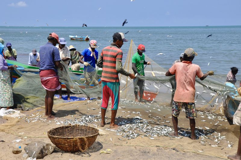 After fishing-emptying the fishing nets