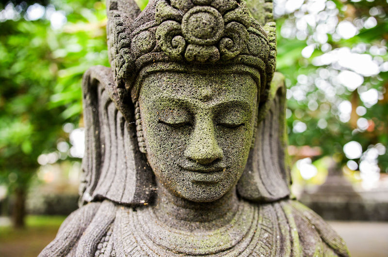 Close-up of statue
